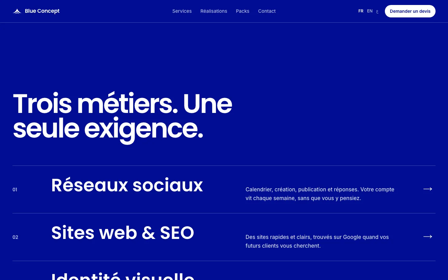 Blue Concept : Ce que nous avons livré